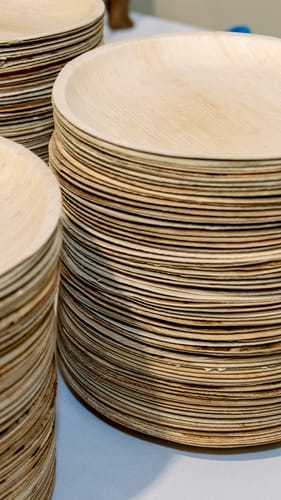 Customer photo review of 10" (25cm) Shallow Round Palm Leaf Disposable Plates