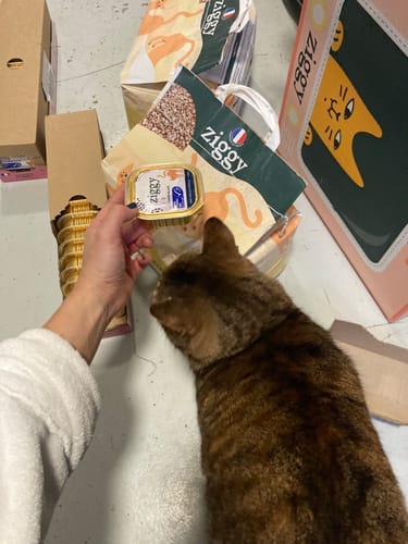 Cliente présentant une pâtée au Poisson Blanc à son chat tigré qui la renifle avec intérêt devant des sacs Ziggy.