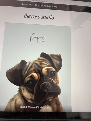 Customer photo review of Detailed Pet Portrait