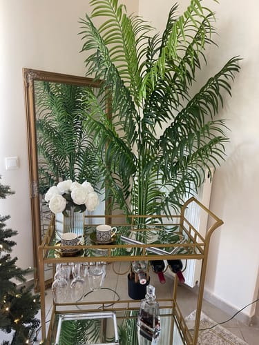 Customer photo review of Έπιπλο Μπαρ Τρόλεϊ Κάβα Τραπεζαρίας με Καθρέφτη Βοηθητικό Τραπεζάκι Κουζίνας Χρυσό LR-C090A03