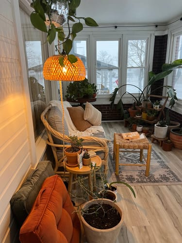 Reviewer's sunroom filled with many healthy houseplants after using Fungus Gnat Death Drops.