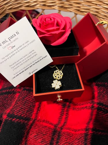 Customer photo review of Rosa Eternal Love - Especial Navidad 🌠 (Copia)