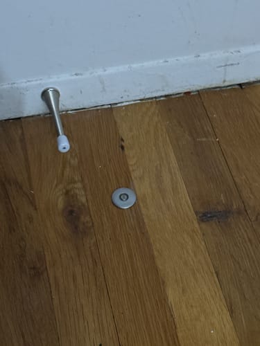 Customer photo review of Fantom Doorstop