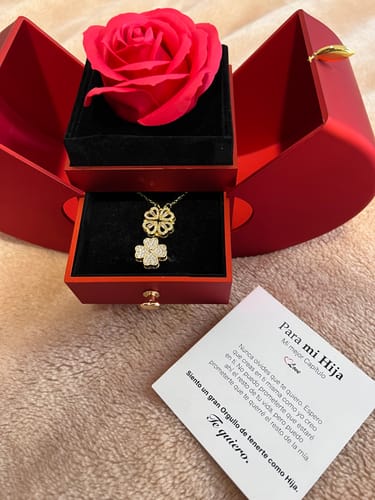 Customer photo review of Rosa Eternal Love - Especial Navidad 🌠 (Copia)