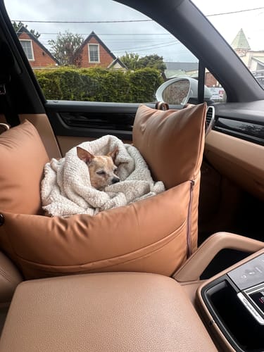 Customer photo review of Boujee Booster