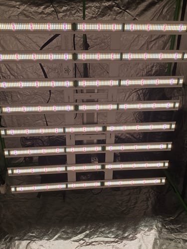 Customer photo review of FloraFlex 700W Full Spectrum LED Grow Light with Custom Diodes