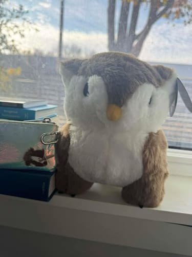 Customer photo review of Owlbear Fighter Pins (USA)