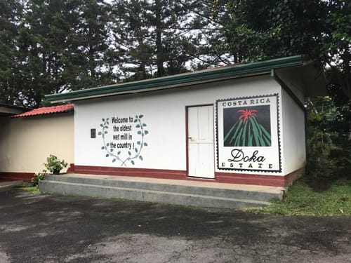 Customer photo review of Café Hacienda Doka Peaberry AA