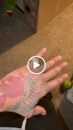 Customer video review of 10K SOLID YELLOW GOLD 1.25 CARAT REAL DIAMOND ENGAGEMENT RING WEDDING PINKY BAND