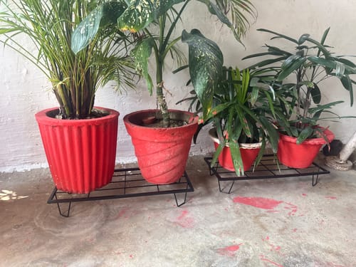 Customer photo review of United Crafts BRAK Heavy Rectangle Plant Stand – Indoor & Outdoor