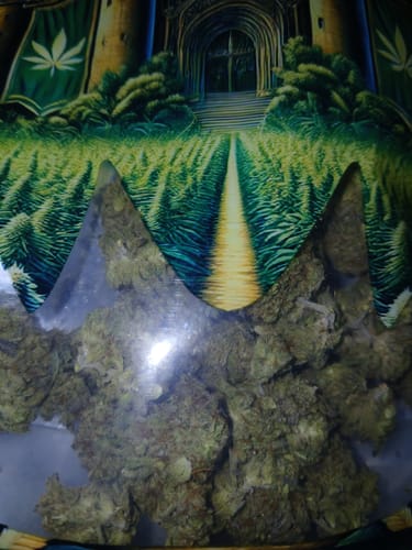 Customer photo review of Gruntz - Greenhouse Light Dep THCA