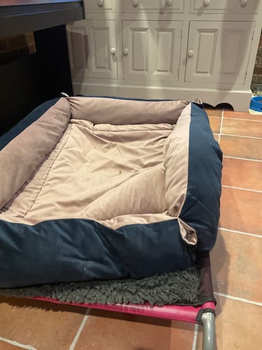 Customer photo review of English Rose & Navy Velvet Luxury Nest
