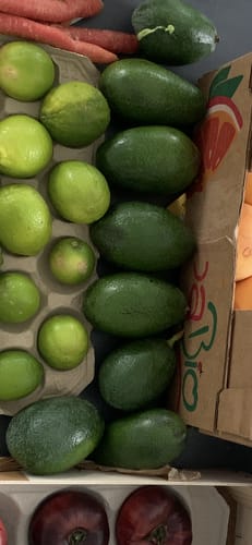 Ein Kunde zeigt die gelieferten grünen Bio-Bacon-Avocados neben Limetten in einer Kiste.