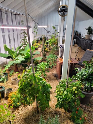 Customer photo review of Phantom PHENO 440 LED Grow Light