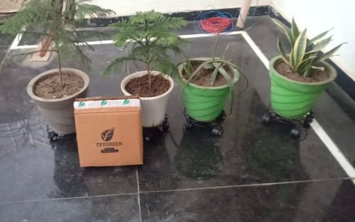 Customer photo review of TryGreen Craby Wheel Rolling Plant Stand for Planters