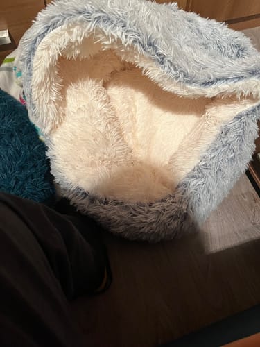 Customer photo review of Super Plush Cove Bed