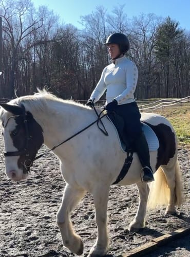 Customer photo review of Lily multi bridle