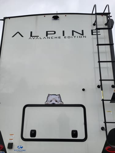 Customer photo review of Can You See Me Now - West Highland White Terrier Car/ Door/ Fridge/ Laptop Sticker V1