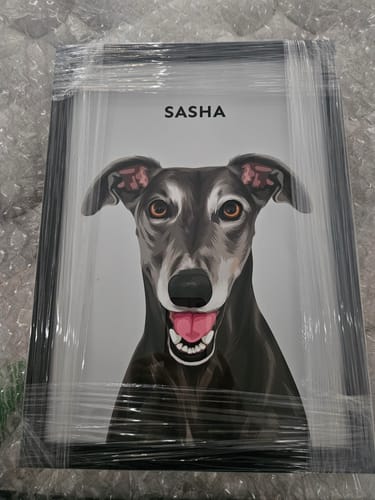 Customer's framed Custom Pet Portrait of a smiling dog named Sasha, still in protective plastic wrapping.