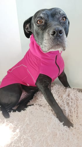 Customer photo review of Dog Coat With Zip - Shower Proof - Carminerose