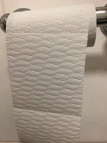 Customer photo review of UK-Made Recycled Toilet Paper – Seriously Sustainable & Plastic-Free