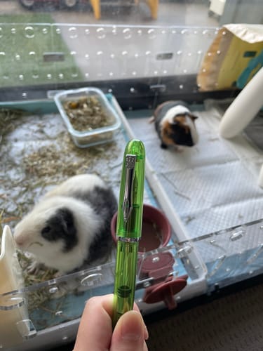 Customer photo review of XV Nusa Fountain Pen - Ocean