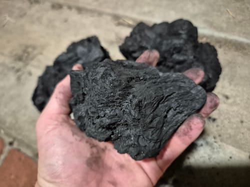 Customer photo review of 100% Mallee Root Charcoal