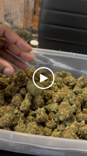 Customer video review of Gary Payton THCA Flower