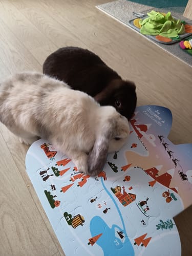 Customer photo review of Calendrier de l’Avent - La Hopbox à CarotteVille