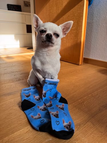 Jasmin H. review of Personalisierte Socken mit deinem Haustier image 1 out of 1