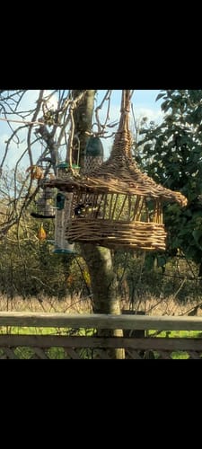 Customer photo review of The Willow Bird Feeder Kit