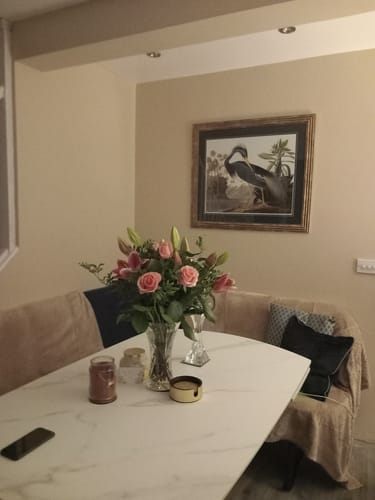 Customer photo review of Louisiana Heron By John James Audubon