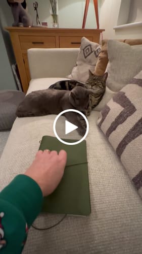 Customer video review of Bookmark - DOLLOP