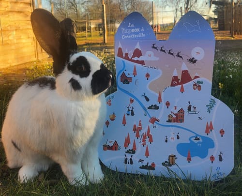 Customer photo review of Calendrier de l’Avent - La Hopbox à CarotteVille