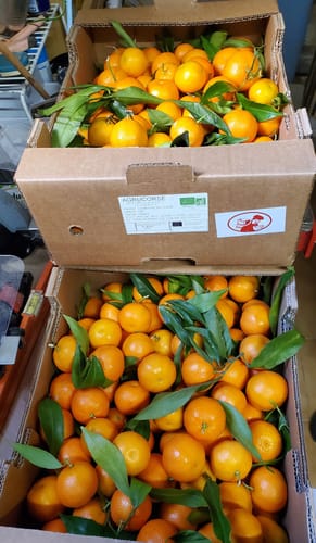 Denise A. review of Clémentines Bio - Origine Corse image 1 out of 1