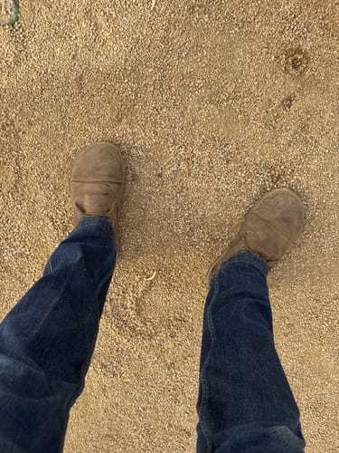 Customer photo review of Bruin - Kodiak Brown