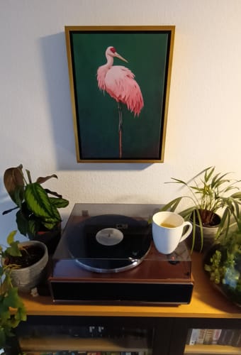 Customer photo review of Pink Crane on Green Print