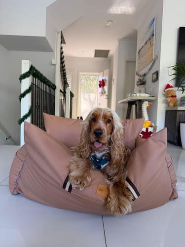 Customer photo review of The Big Boujee