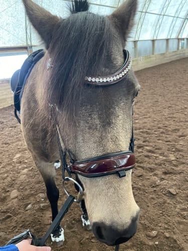 Customer photo review of Merlot Patent Snaffle