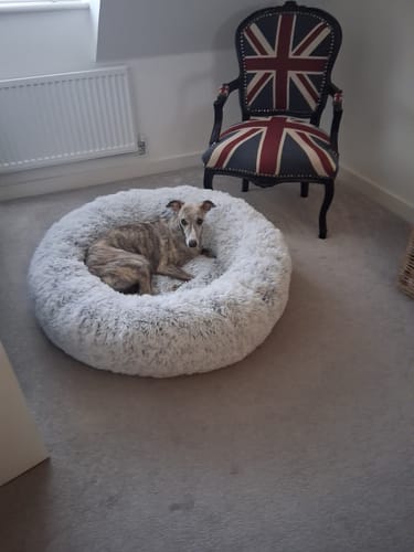 Customer photo review of Super Plush Donut Bed