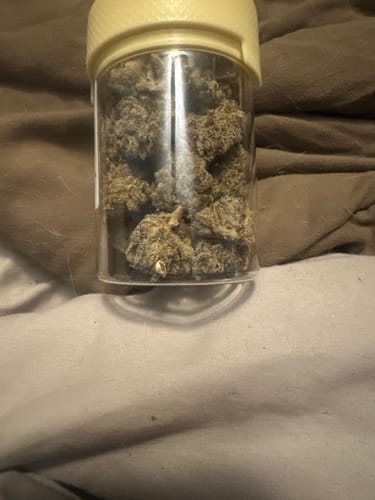 Customer photo review of Alien OG THCa Flower Exotic Hybrid 10g