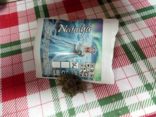 Customer photo review of THCA Queen