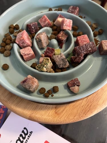 Customer photo review of Ceramic Slow Feeder Pet Bowl for Dogs and Cats