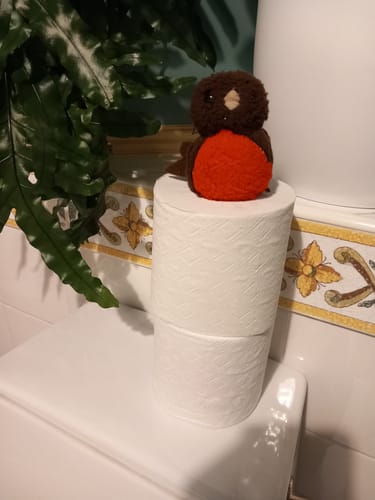 Customer photo review of UK-Made Recycled Toilet Paper – Seriously Sustainable & Plastic-Free