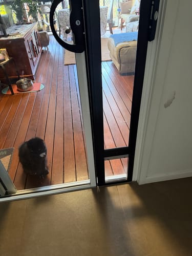 Customer photo review of Pet Door Inserts