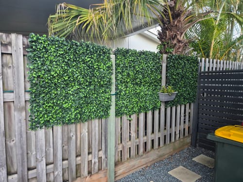 Customer photo review of Jasmine Artificial Hedge Screen / Green Wall Panel 100cm x 100cm UV Resistant