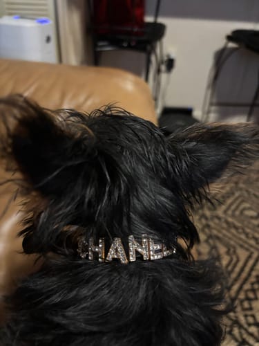 Customer photo review of Custom Engraved ID Tag