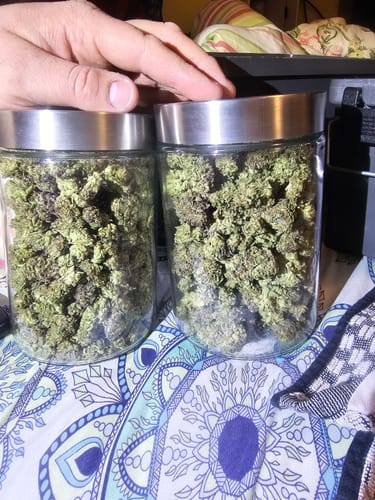 Customer photo review of Cheap THCA Flower Half Pound