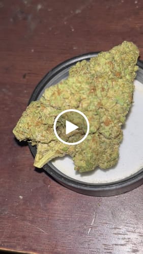 Customer video review of Moon Pie Light Assist THCA