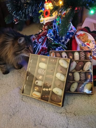 Customer photo review of Signature Date Set